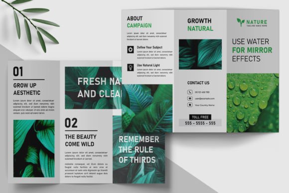 Mastering the Trifold Brochure Layout Design